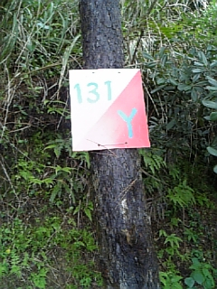 自然教室２日目