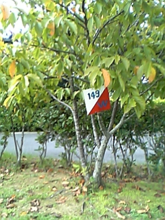 宿泊学習三日目！